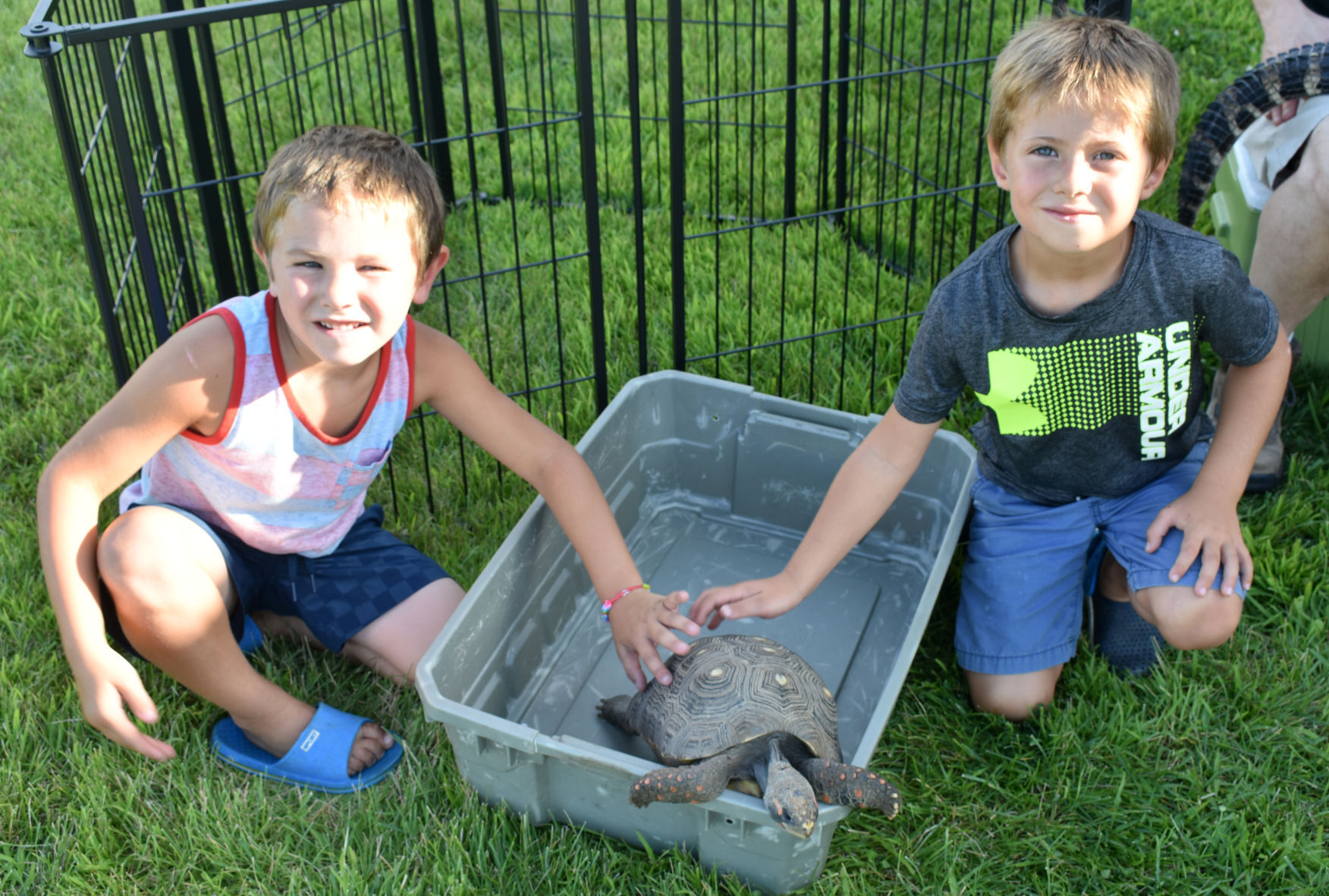 boys petting turtle.jpg